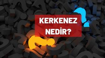 Kerkenez nedir? TDK kerkenez ne anlama gelir?