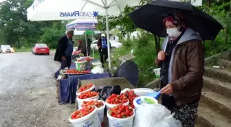 Ünlü 'Demirciören çileği' tezgahlarda