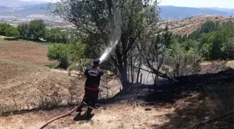 Son dakika haber! Bingöl'de örtü yangınları söndürüldü