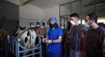 Şampiyonların sayısı bu teknoloji ile artacak