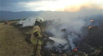 Ödemiş'te çıkan yangında 5 dönüm ekili arazi zarar gördü