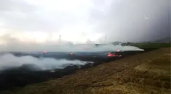 Ödemiş'te ekin tarlasında çıkan yangın hasara neden oldu