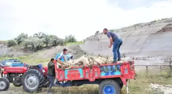 Tavanı çöken ağıldaki 58 küçükbaş hayvan telef oldu