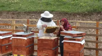 Anzer honey opens production season; hundreds of already ordered