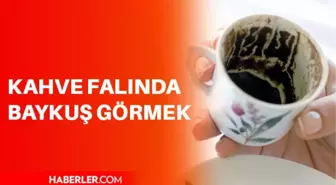 Falda baykuş görmek ne anlama gelir? Falda baykuş görmek ne demek? Kahve falında baykuş görmek iyi midir, kötü müdür?