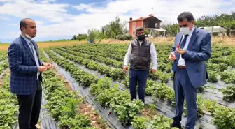 Hüyük'te coğrafi tescilli çileğin tanıtım ve eğitim toplantısı