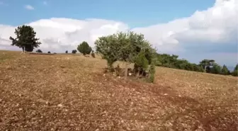 Tarlada çalışan 7 kişi yıldırım düşmesi sonucu yaralandı