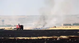 DİYARBAKIR'DA HAVALİMANI YAKININDA ANIZ YANGINI