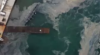 İstanbul'da müsilaj etkisini sürdürüyor