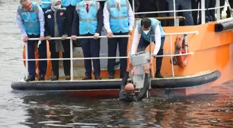 Oksijen cihazları denize hayat verecek