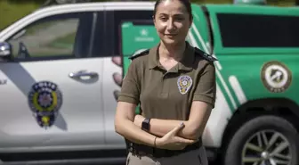 Sokak hayvanları 'emniyette'