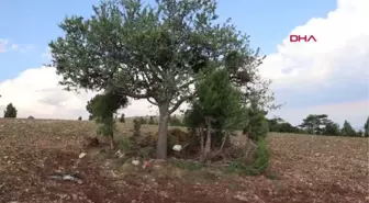 Son dakika haberleri... TARLAYA YILDIRIM İSABET ETTİ, YARALANMAYAN ÇOCUK AİLESİNİN HAYATINI KURTARDI: 7 YARALI