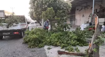 AKHİSAR'DA YILDIRIM AĞILA İSABET ETTİ: 2 YARALI