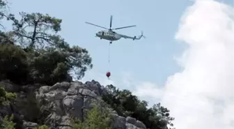 Antalya'da orman yangını