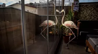 Bursa Gazeteciler Cemiyetinin 'Gazetecilik Başarı Ödülleri' sahiplerini buldu