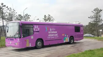 Vetbüs 3 gün boyunca Kartal'da