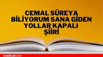 Biliyorum Sana Giden Yollar Kapalı şiiri - Cemal Süreya Biliyorum Sana Giden Yollar Kapalı şiiri