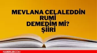 Demedim mi? şiiri - Mevlana Celaleddin Rumi Demedim mi? şiiri