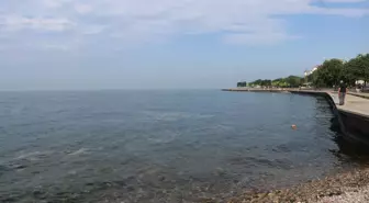 Müsilaj temizleme çalışmaları devam ediyor