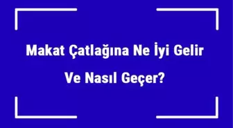 Makat Çatlağına Ne İyi Gelir ve Nasıl Geçer? Makat Çatlağı Nedenleri ve Tedavisi