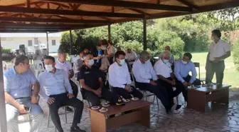 Mersin'de atıl tarım arazilerine keçiboynuzu dikimi projesi