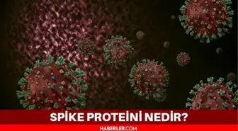 Spike Proteini nedir? Spike Proteini yapay mı? mRNA aşıları spike proteini mi veriyor?