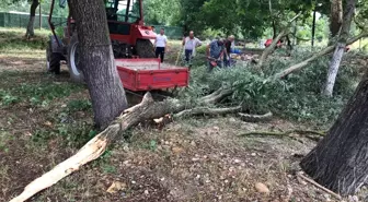 Fırtına ağaçları devirdi, enerji nakil hatları kopunca yangın çıktı