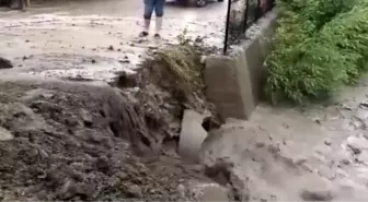 Giresun'da etkili sağanak; dere taştı, yollar çamurla kaplandı - KÜÇÜKBAŞLAR ÖLDÜ