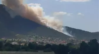 Merkezefendi ilçesinde çıkan orman yangınına müdahale ediliyor (3)