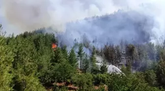 Son dakika haberi! Denizli'deki orman yangını kontrol altına alındı