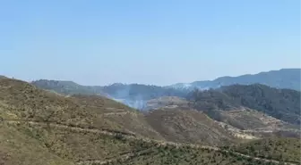 Hatay'da, Suriye'deki orman yangını tedbiri