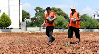 Muratpaşa'da susam tarımı başladı