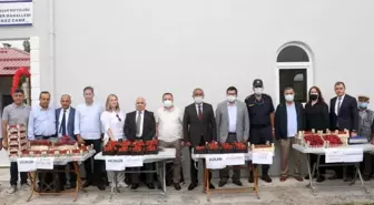 Büyükşehir'den Çiftçilere 'Çilek' Desteği
