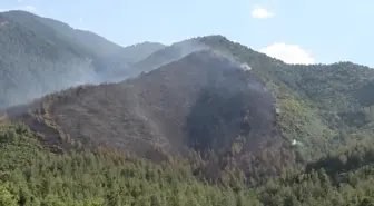 Denizli'de 5 hektarlık alanın zarar gördüğü orman yangınının başlangıç noktasında mangal bulundu