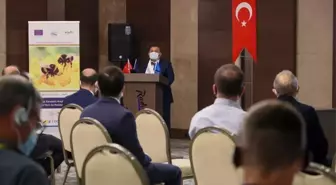 Ordu'da düzenlenen Uluslararası Karadeniz Arıcılık Konferansı ile arıcılar deneyimlerini paylaştı