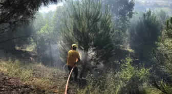 Son dakika haber... Ormanlık alanda çıkan yangın kontrol altına alındı