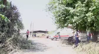 Devrilen traktörün altında kalan sera işçisi öldü