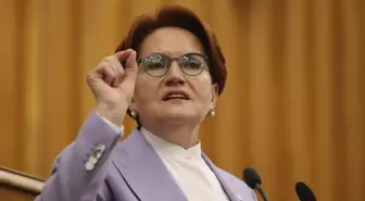 Akşener, İYİ Parti TBMM Grup Toplantısı'nda 'Artagan Projesi'ni anlattı Açıklaması