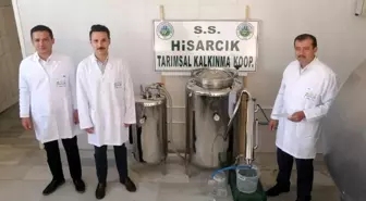 Hisarcık'ta adaçayı yağı deneme üretimi