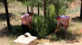 Kırşehir'de yaban hayvanlarının su ihtiyacı için dağlardaki atıl çeşmeler onarıldı