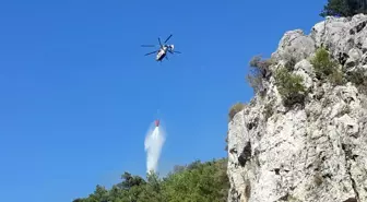 Son dakika haber! Ören Mahallesi'ndeki yangın kontrol altına alındı