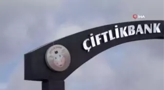 Çiftlik Bank'ın kurucusu Mehmet Aydın teslim oldu