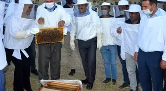 Arılı Kovanlar Üreticinin Yüzünü Güldürdü