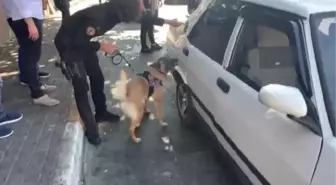 Son dakika haber... BEYOĞLU'NDA SOKAKTA UYUŞTURUCU SATANLARA OPERASYON