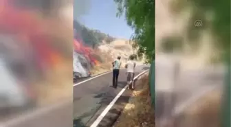 Bodrum'da makilik ve otluk alanda çıkan yangın söndürüldü