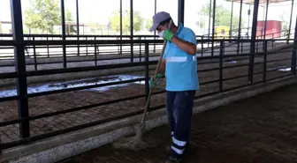 Efeler Belediyesi kurban pazarlarını bayrama hazırlıyor