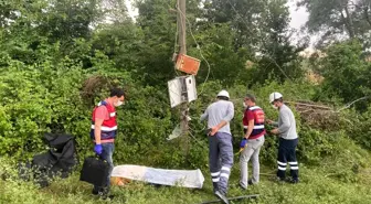 Son dakika haberleri... Elektrik akımına kapılan şahıs hayatını kaybetti