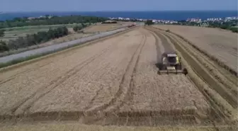 Buğdaydaki yüksek rekolte çiftçinin yüzünü güldürüyor