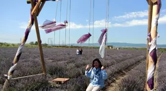 Çanakkale'de 'Lavantalı Tarla Günleri' etkinliği düzenlendi