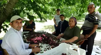 Coğrafi işaret tescilli Uluborlu kirazı Avrupa sofralarında